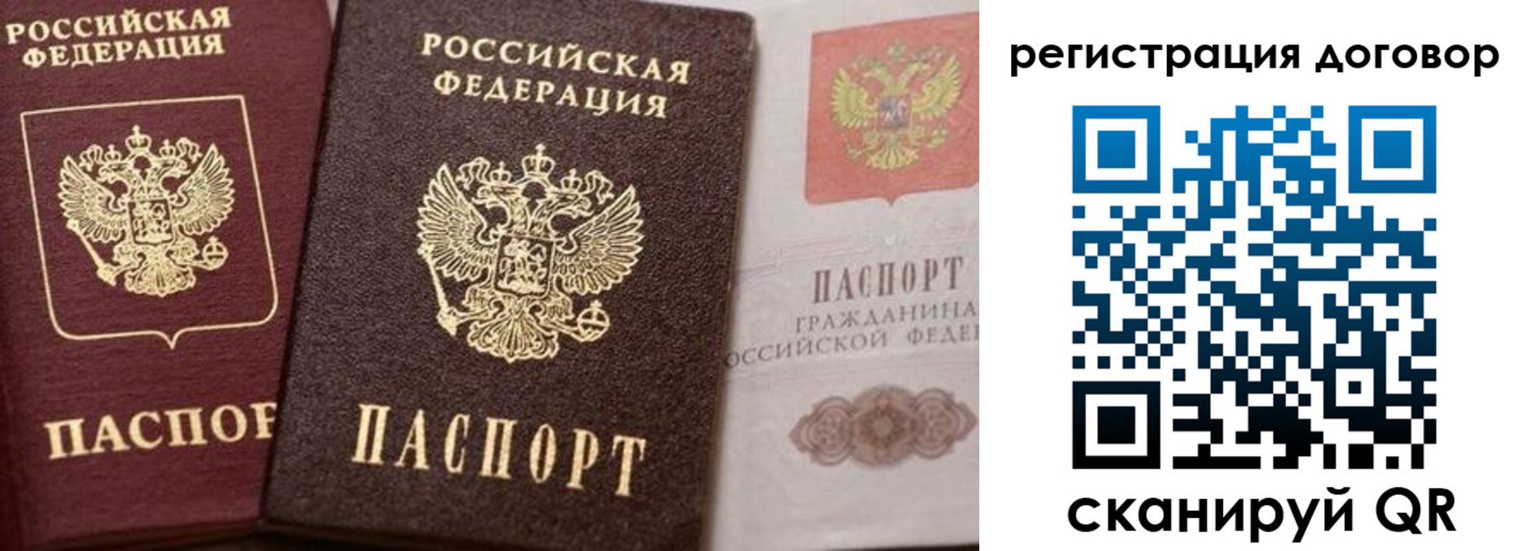 прописка 2025 в Почепе